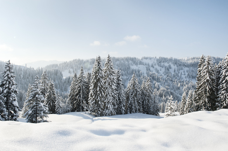 Snow-covered landscape and evergreens in Germany