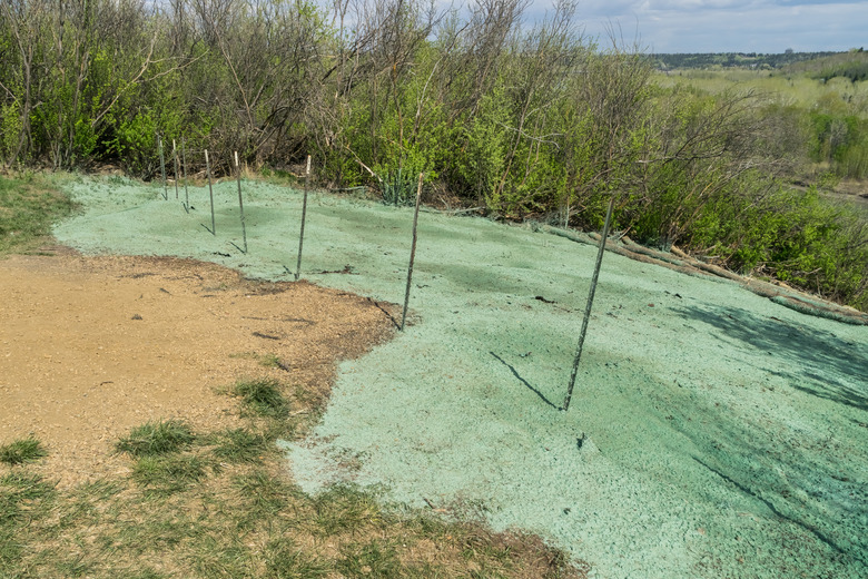 Hydroseeding landscaping project