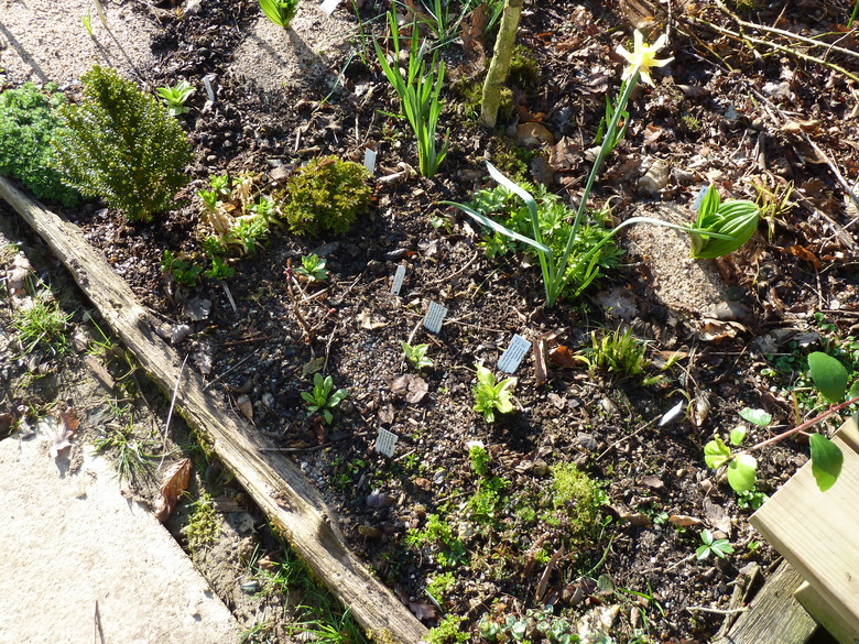 A garden with heavy clay loam soil where a gardener has added a layer of compost on top.