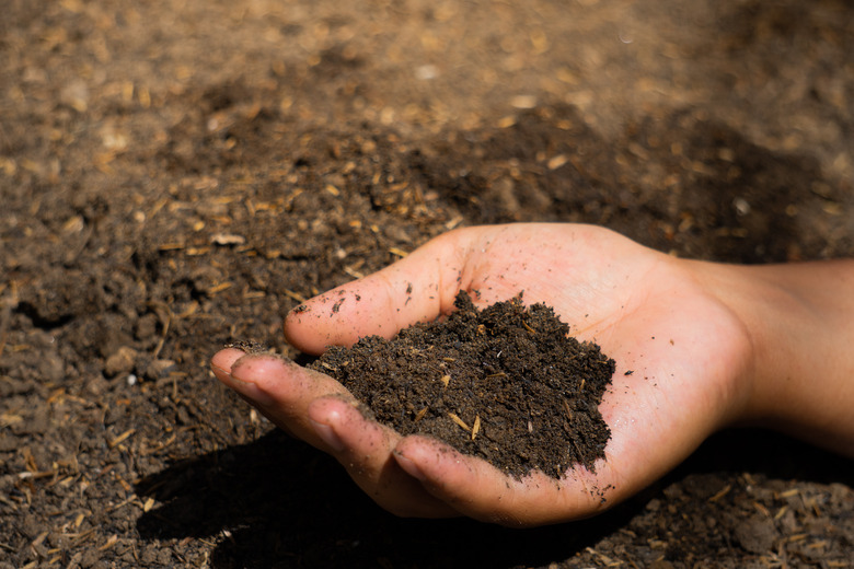A hand holds up some soil just above the ground.