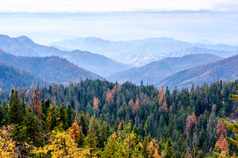 Sequoia National Park mountain landscape at autumn