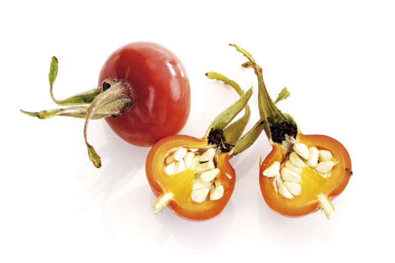 A close-up of two rose hips