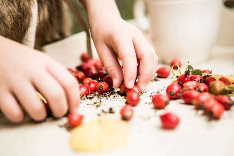 A child preparing rose hip tea with their mother.