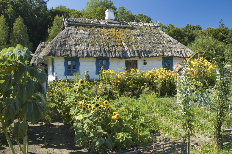 Wooden cottage house and a garden