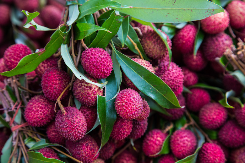 Ripe lychees ready for harvest.