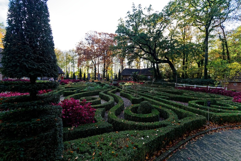 Boxwoods cut into neat paths at the Netherlands Open Air Museum.