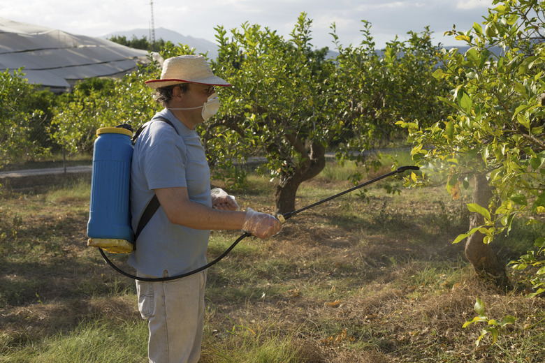 Spraying pesticide
