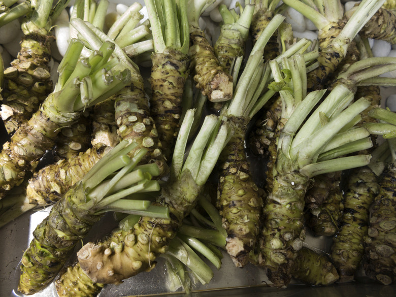 Wasabi