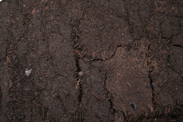 Humus - Fertile Organic Soil