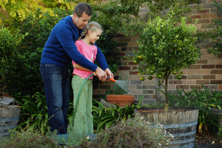 Father and daughter (10-12) watering garden with hose, side view