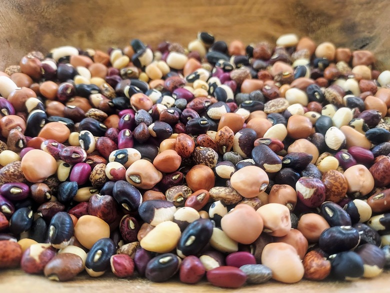 A varied assortment of cowpeas Vigna unguiculata.