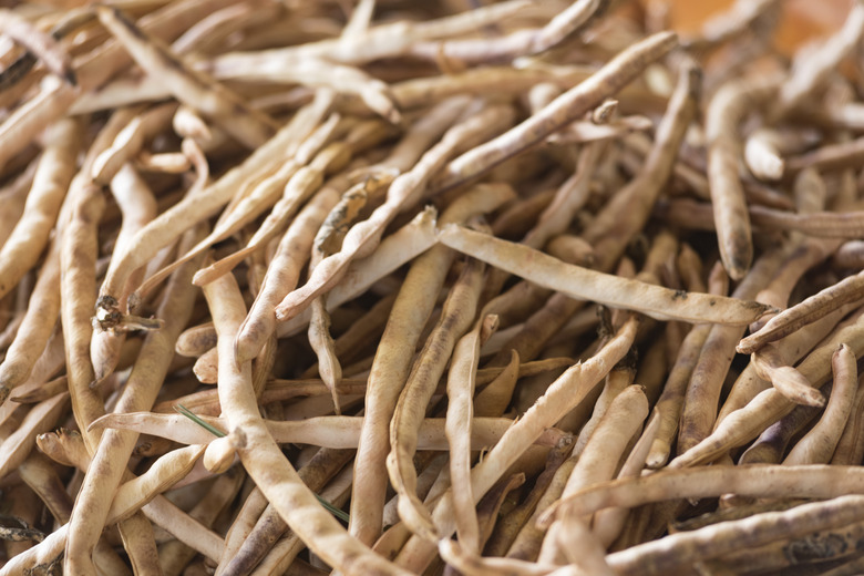 A pile of dried bean pods.