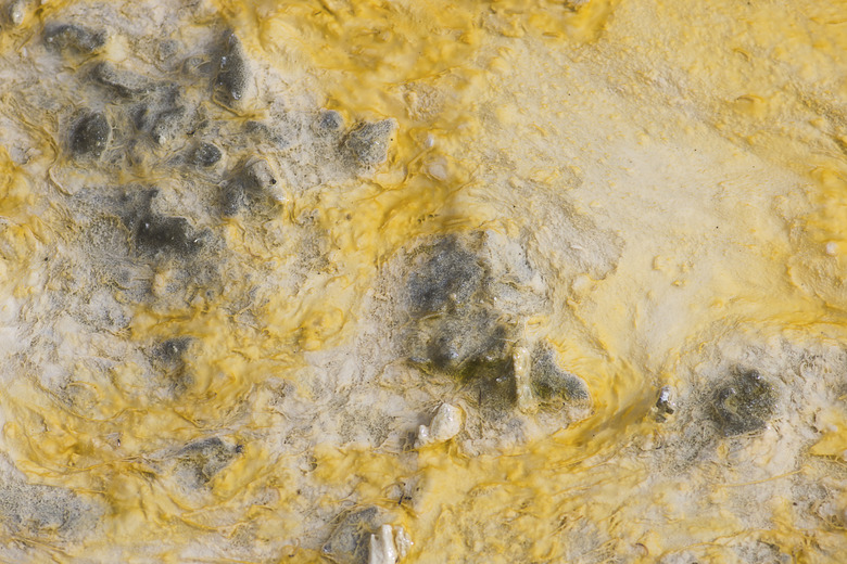 Organic textured ground of geothermal active area.