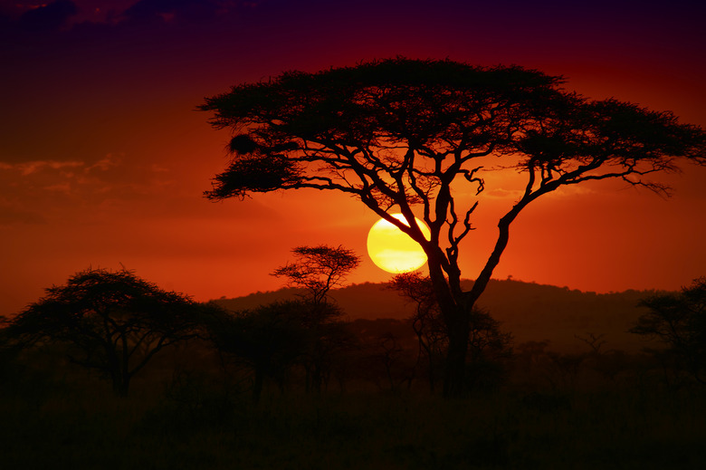 End of a Safari-day in the Serengeti, Africa