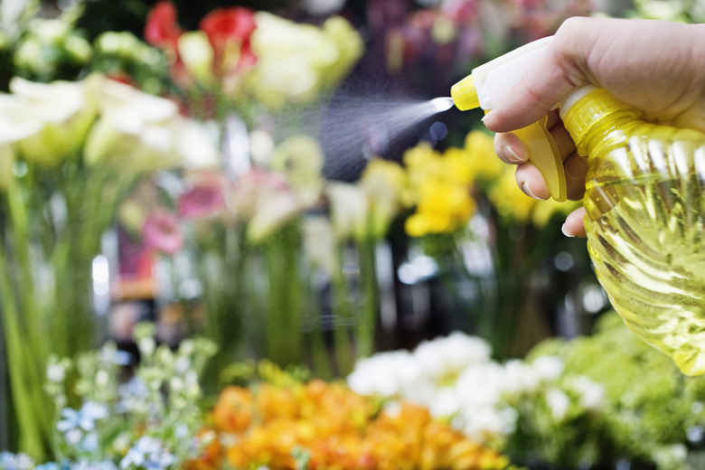 Woman Misting Flowers