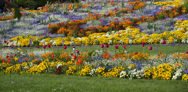 A wondrous array of different flowers on display at Mainau in southwestern Germany.