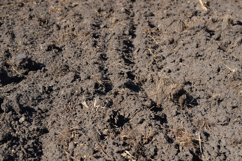 A close-up of loamy soil in a plowed agricultural field.