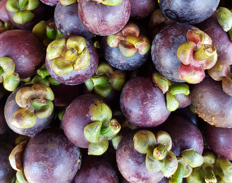 A close-up of a pile of ripe mangosteens Garcinia mangostana in Philippines.