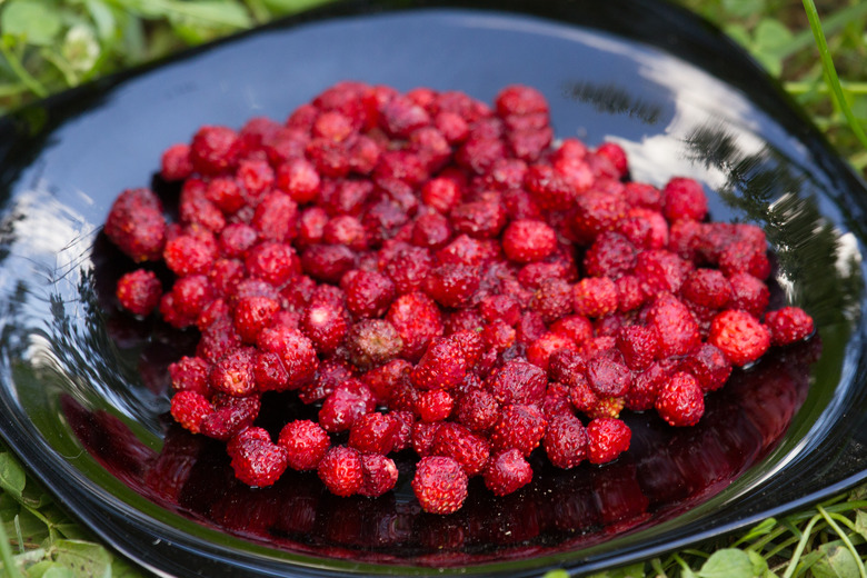 Overripe wild strawberries in a black bowl.