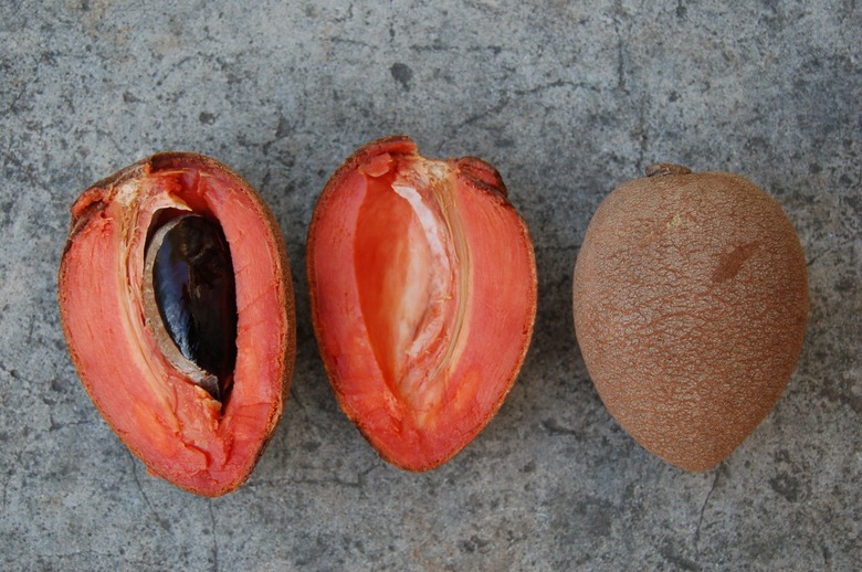 A sapote fruit Pouteria sapota cut open to reveal its insides.