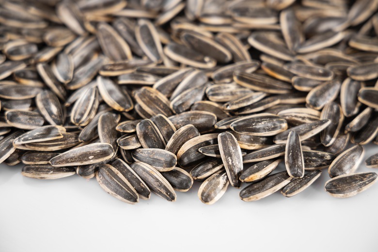 A group of sunflower seeds poured out onto a white surface.