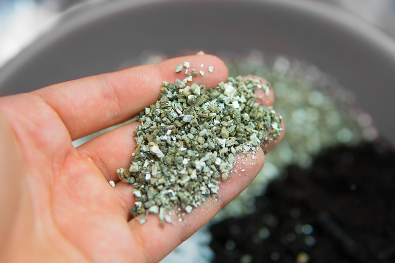 A close-up of some vermiculite in someone's hands.