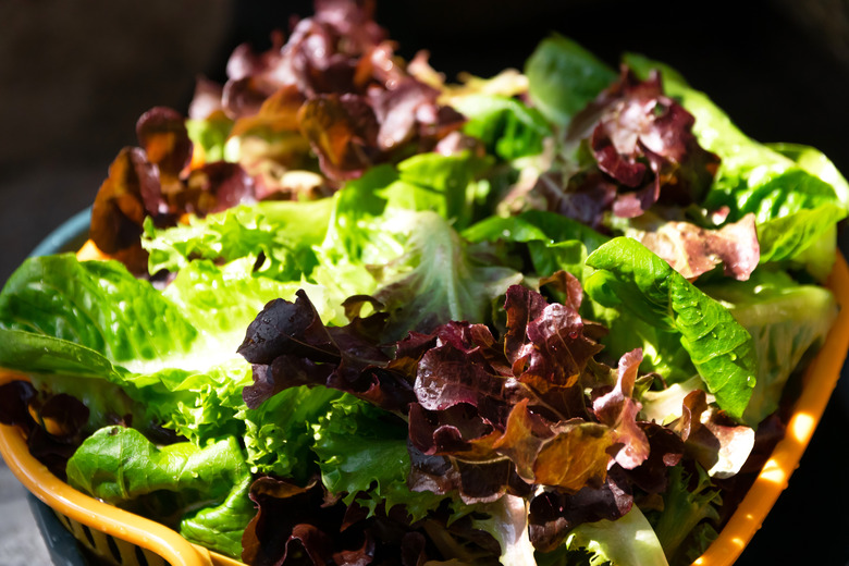 A bowl of different kinds of lettuce