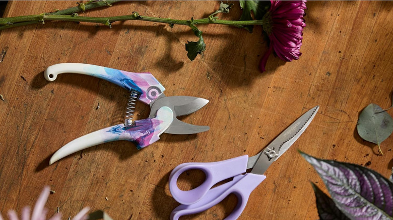 Fiskars scissors and shears lay on a table near plants.