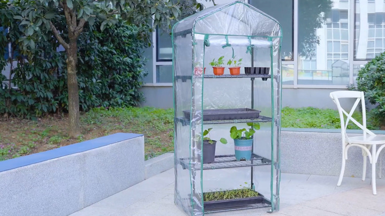 A four level mini greenhouse sits on a patio.
