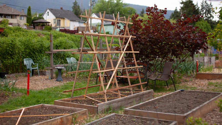 A wooden A-frame trellis sits on top of a raised garden bed.