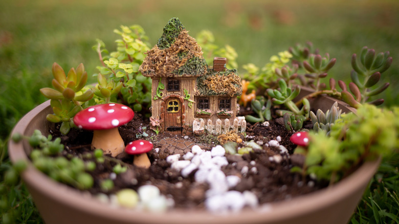 A fairy garden featuring a tiny stone house and mushrooms, as well as a variety of tiny plants and moss.