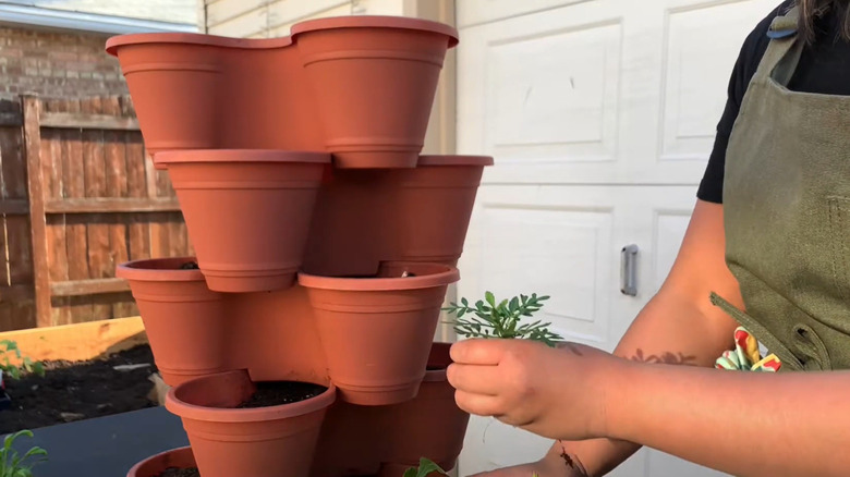 A woman plants herbs in a stackable container garden.