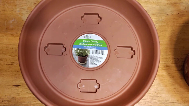 Close in view of a rolling plant tray from Dollar Tree.