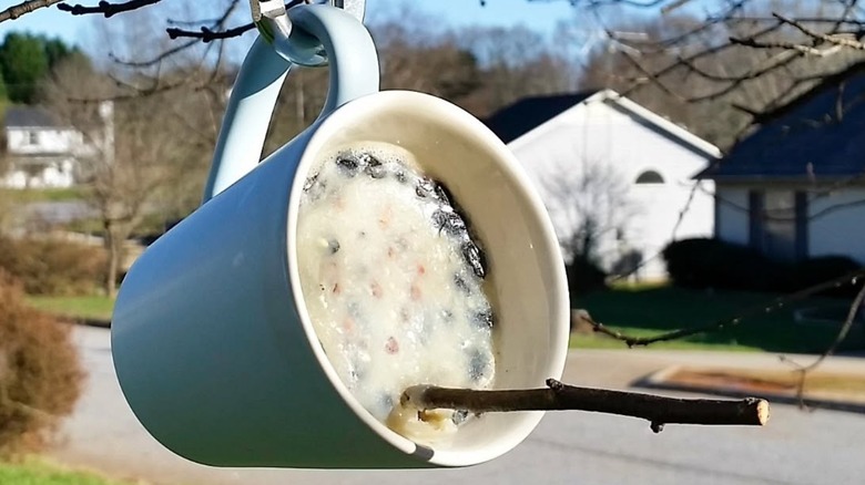 A mug fashioned into a suet-style bird feeder hangs from a tree.
