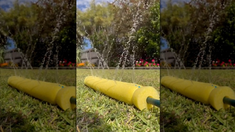A yellow pool noodle attached to a garden hose water grass.