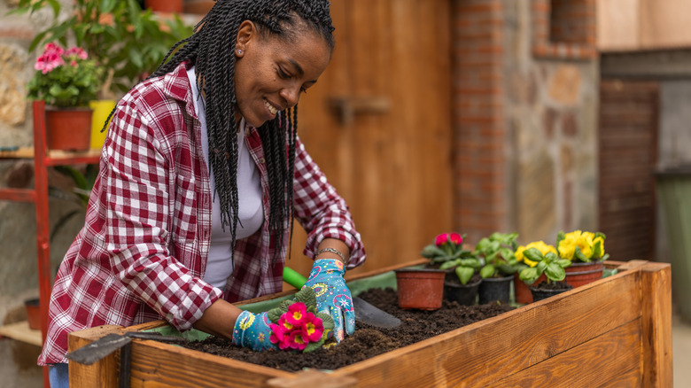 Black woman planting flowers in a raised garden bed.