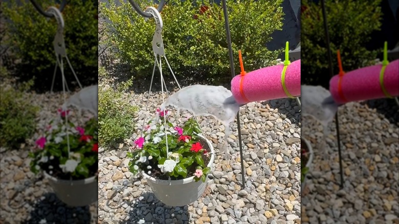 Pool noodle and spoon attached to a garden hose gently sprays water on potted plant.