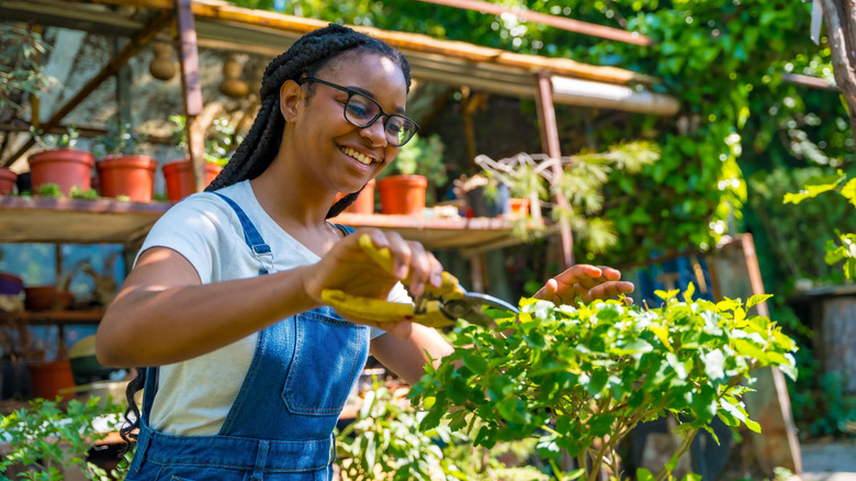 Woman takes a cutting from her garden.