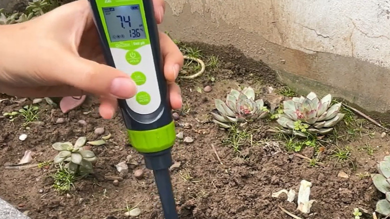 Green and black Apera Instruments Soil pH tester pen against a gray background with splashing water