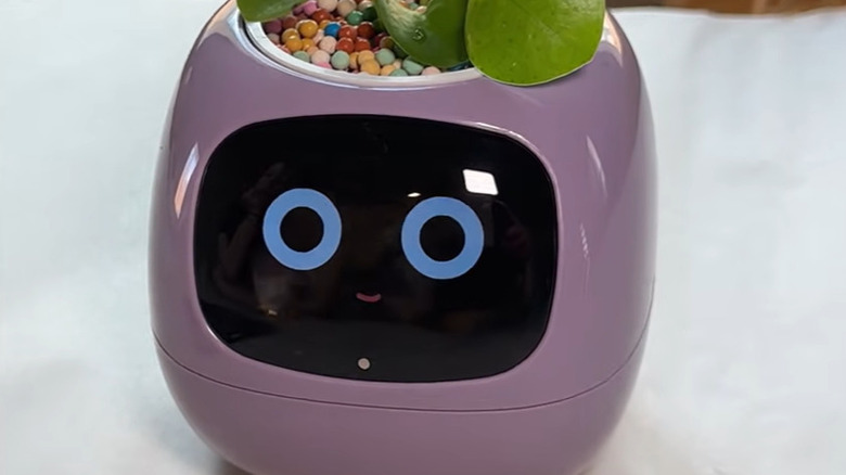 A purple Ivy pot from PlantsIO showing a happy smiling face on a display screen.