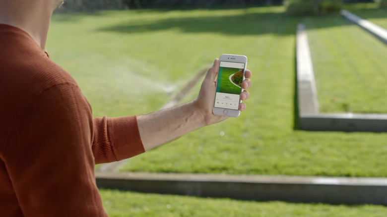 Man holding smartphone while using the Rachio 3 sprinkler app.