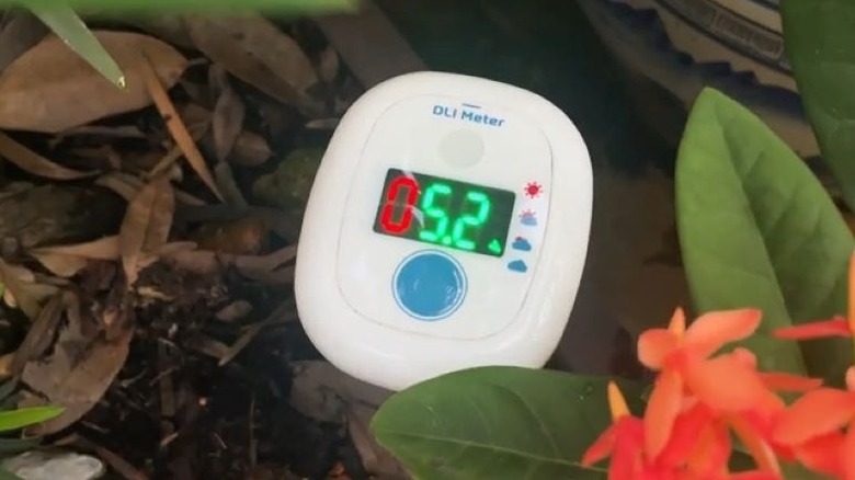 The white EVO-20 DLI Meter showing 028 in red and green numbers on a screen.