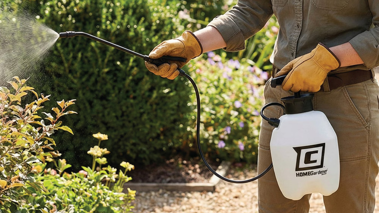 A gardener in yellow gloves using the Chapin HomeGardener lawn sprayer on plants