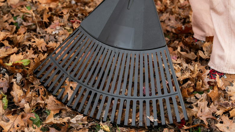 The black head of an Expert Gardener rake in the leaves with a gardener's legs