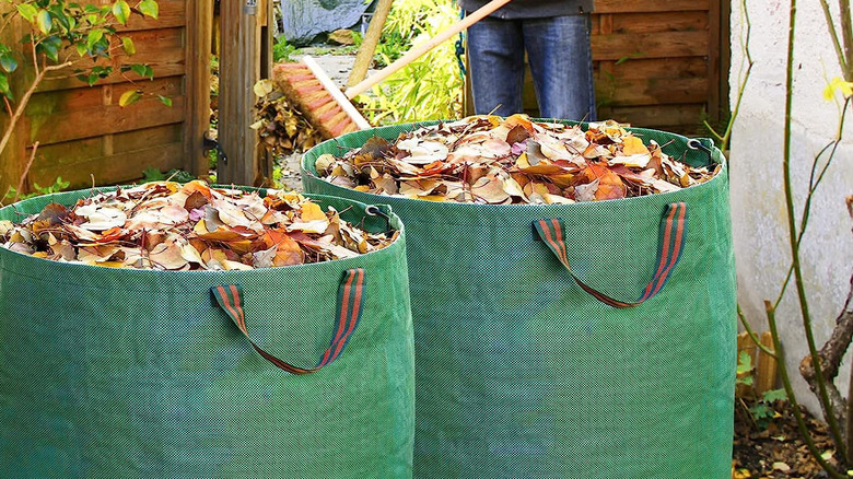 Two Samhe collapsible leaf bags in green full of leaves with a gardener in the background