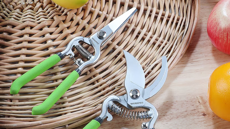 The WORKPRO hand pruner and straight blade pruner on a wood surface with a basket and fruit