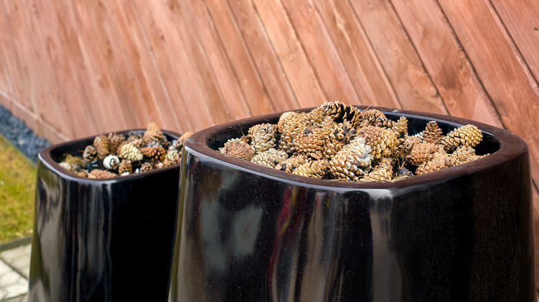 Two black planters filled with pine cones.