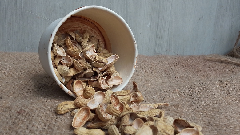 Empty peanut shells spill out of a white planter on its side.