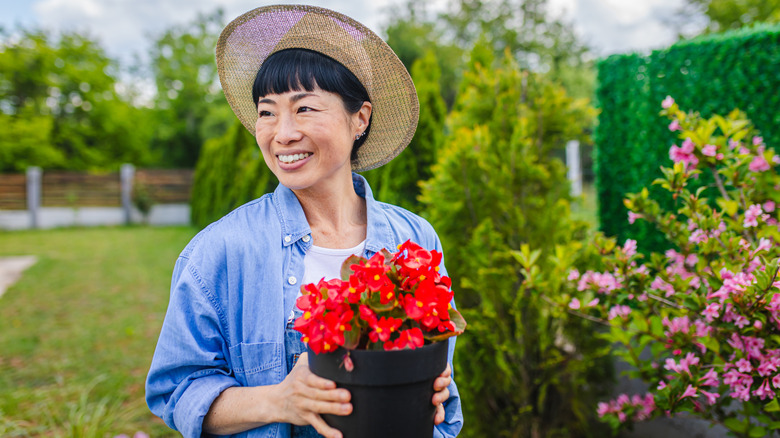A woman holds a flower pot with red begonias in it.
