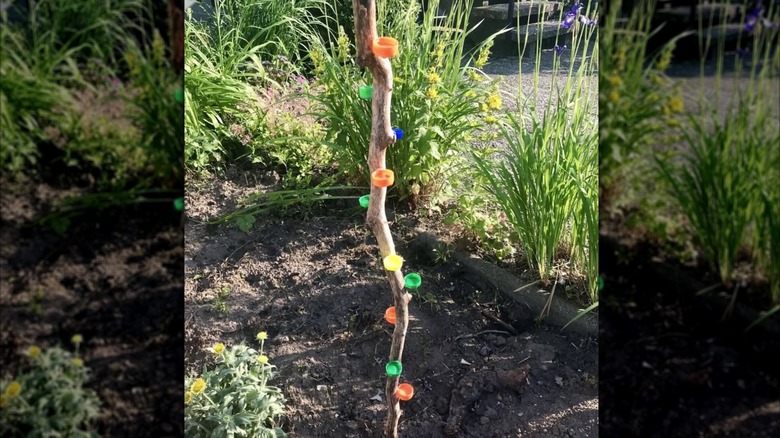 A vertical stick is planted upright in a garden bed, decorated with colorful plastic bottle caps spiraled along its length